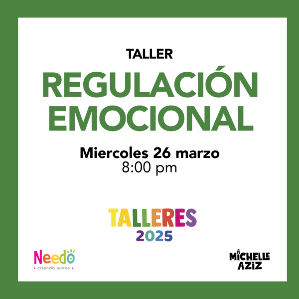 Taller Regulación Emocional